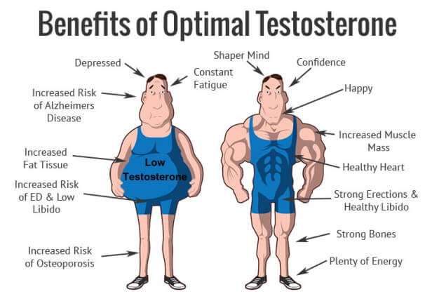 What Every Man Should Know About Muscle Mass: Men's T Clinic®: Testosterone  Replacement